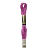 Embroidery Floss - 3607