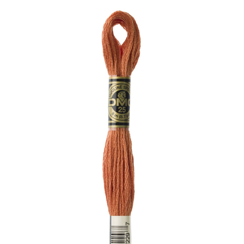 Embroidery Floss - 3776 Needlework DMC
