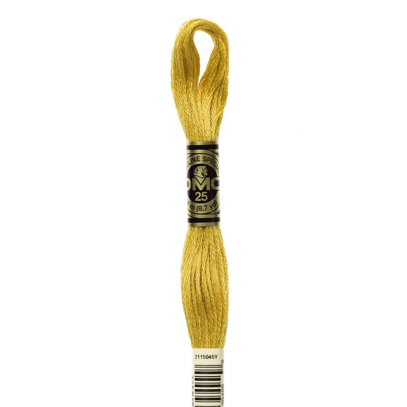 Embroidery Floss - 3820 Needlework DMC