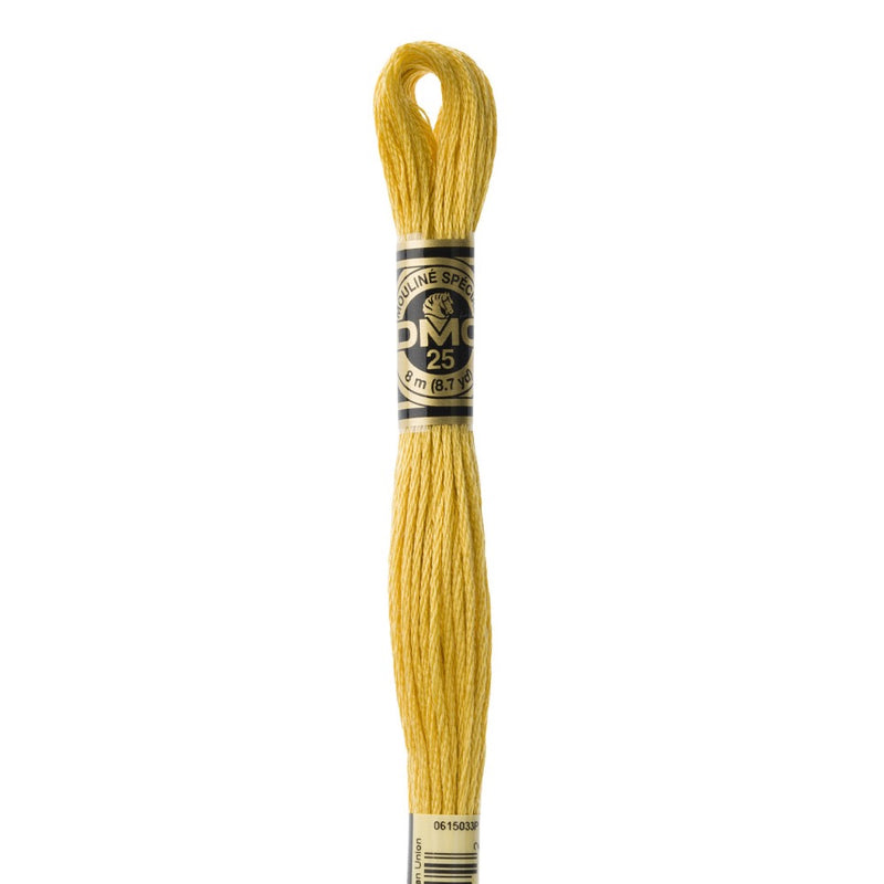Embroidery Floss - 3821 Needlework DMC