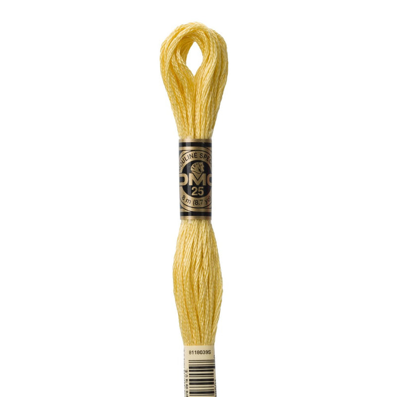 Embroidery Floss - 3822 Needlework DMC