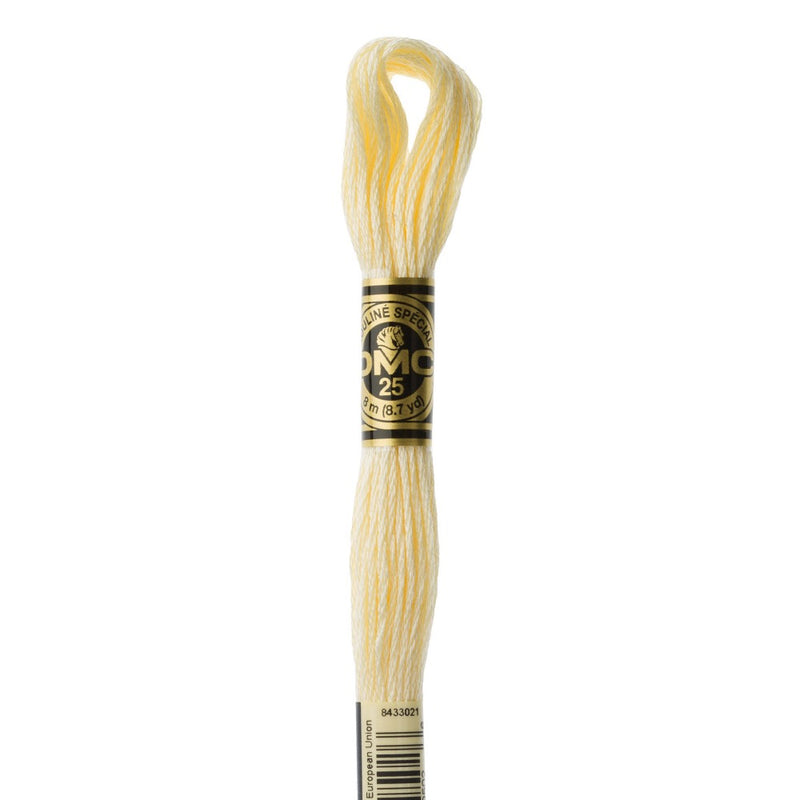Embroidery Floss - 3823 Needlework DMC