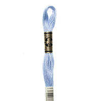 Embroidery Floss - 3840 Needlework DMC