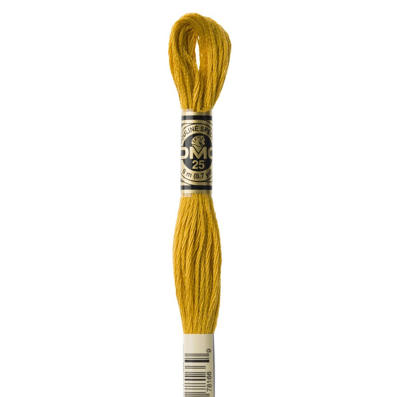 Embroidery Floss - 3852 Needlework DMC