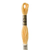 Embroidery Floss - 3855 Needlework DMC