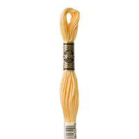 Embroidery Floss - 3855 Needlework DMC