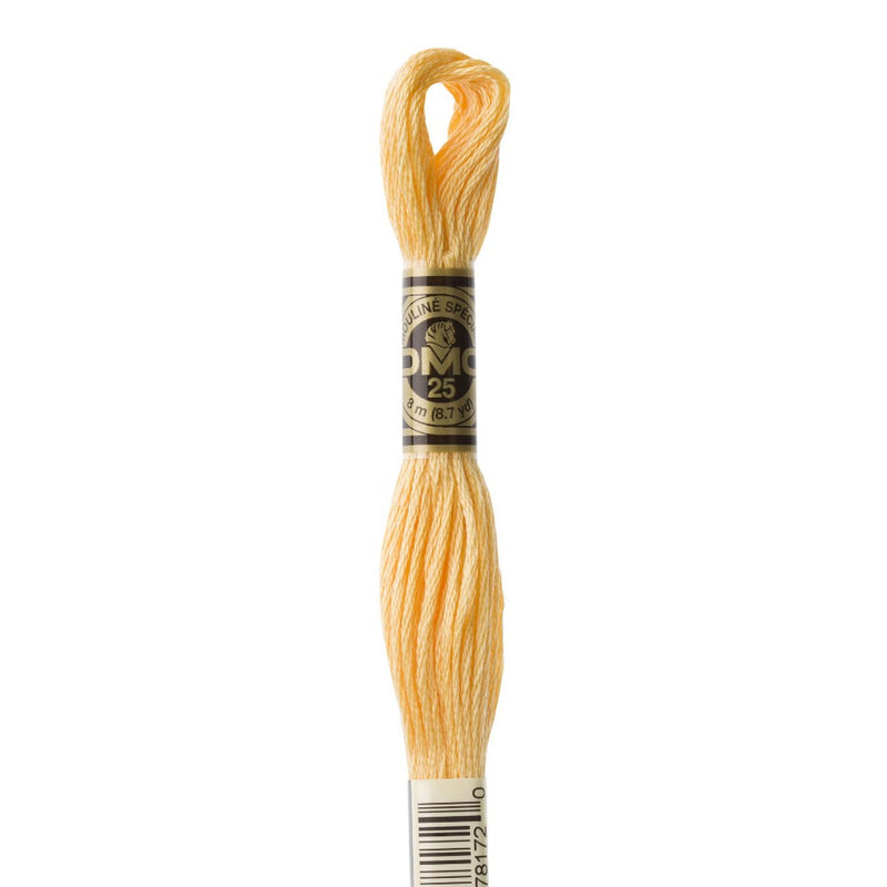 Embroidery Floss - 3855 Needlework DMC