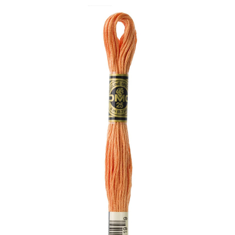 Embroidery Floss - 402 Needlework DMC