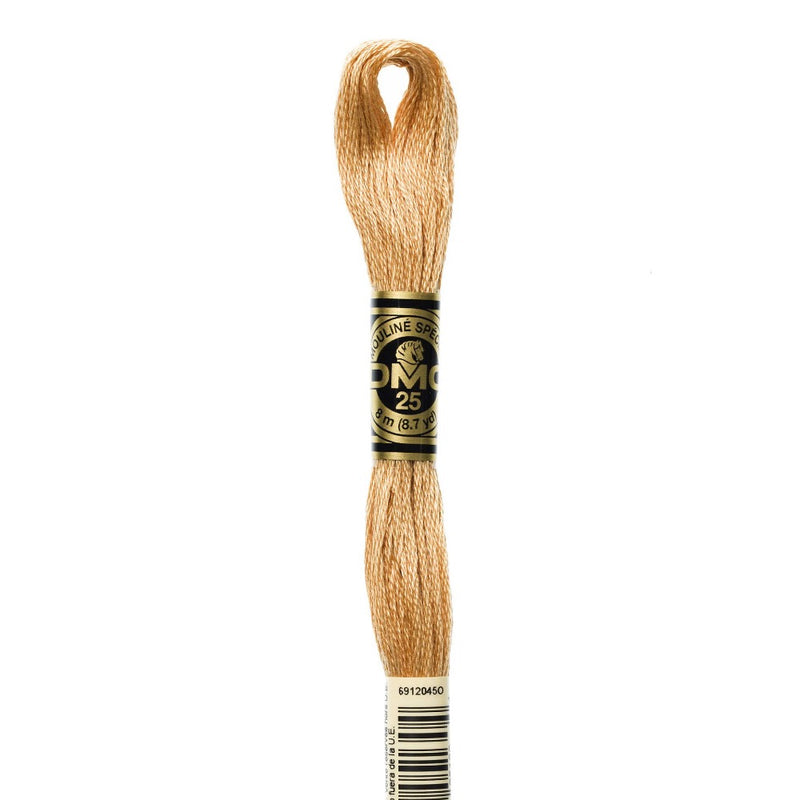 Embroidery Floss - 437 Needlework DMC