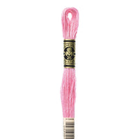 Embroidery Floss - 604 Needlework DMC