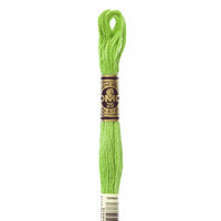 Embroidery Floss - 704 Needlework DMC