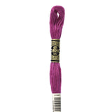 Embroidery Floss - 718