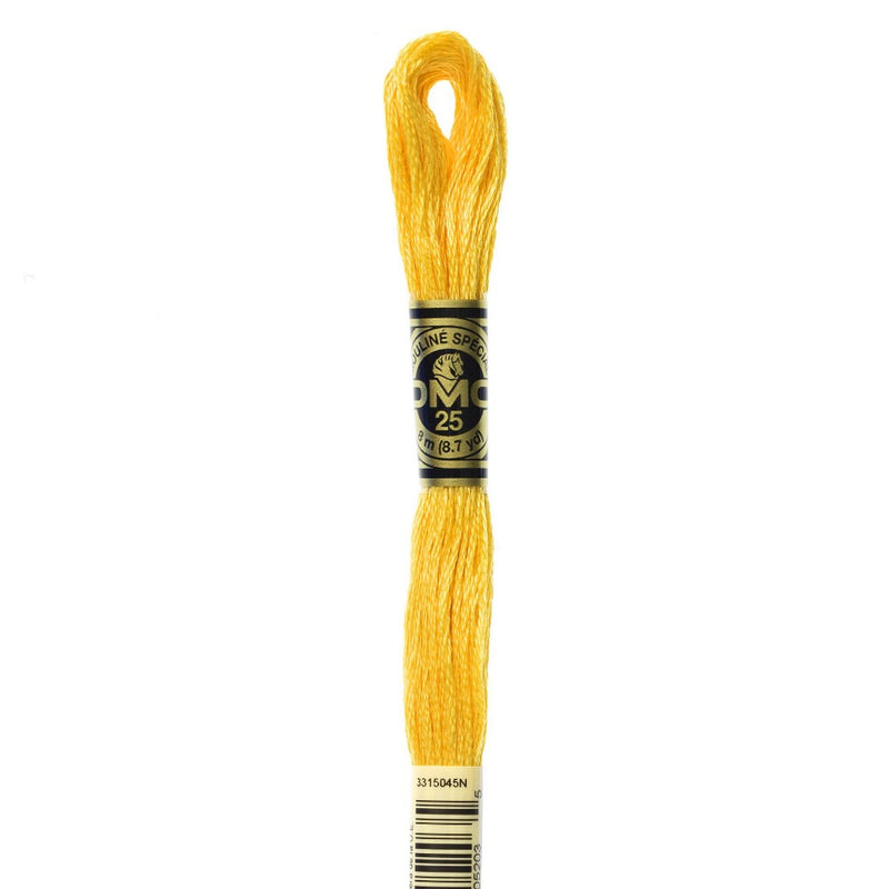 Embroidery Floss - 725 Needlework DMC