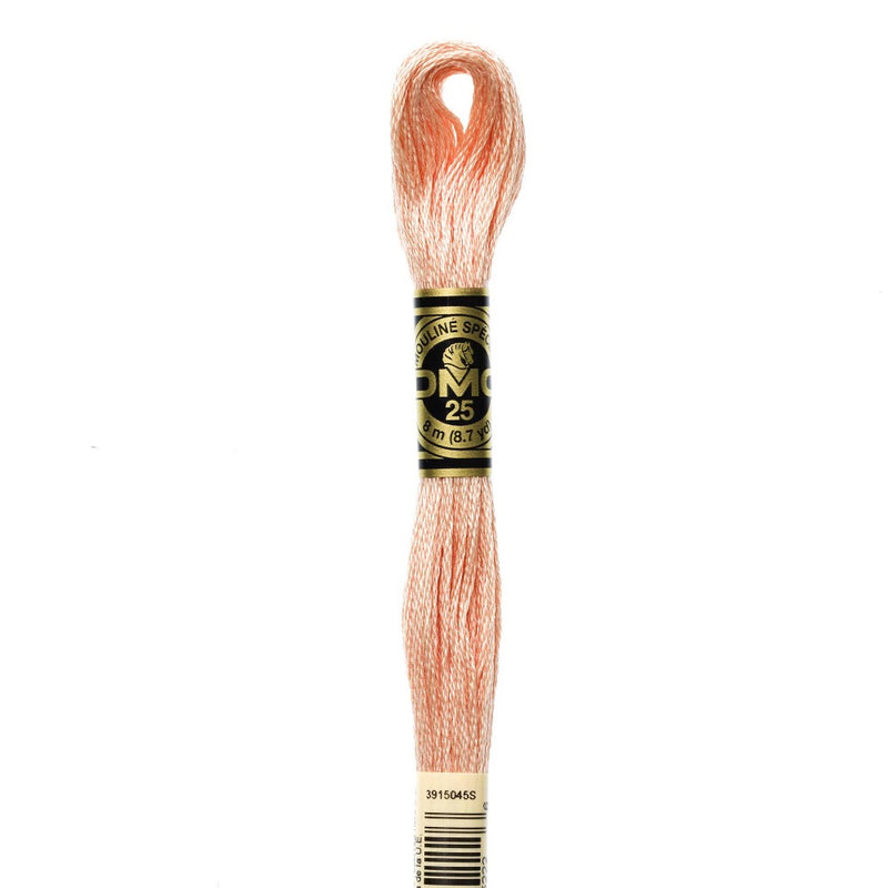 Embroidery Floss - 754 Needlework DMC