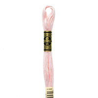 Embroidery Floss - 818 Needlework DMC