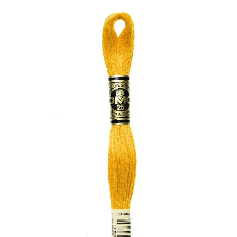 Embroidery Floss - 972 Needlework DMC