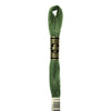Embroidery Floss - 987 Needlework DMC