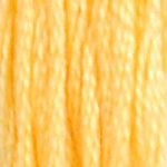Embroidery Floss - 19