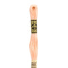 Embroidery Floss - 20 Needlework DMC