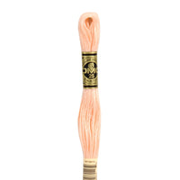 Embroidery Floss - 20 Needlework DMC