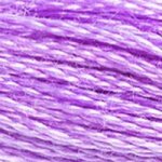 Embroidery Floss - 209
