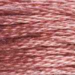 Embroidery Floss - 223