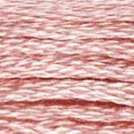 Embroidery Floss - 224