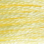 Embroidery Floss - 3078