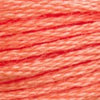 Embroidery Floss - 3340 Needlework DMC