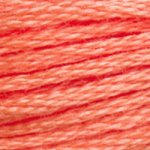 Embroidery Floss - 3340