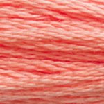 Embroidery Floss - 3341