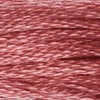 Embroidery Floss - 335 Needlework DMC