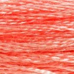 Embroidery Floss - 352