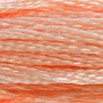 Embroidery Floss - 353