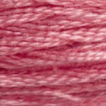 Embroidery Floss - 3733