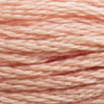 Embroidery Floss - 3771