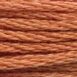 Embroidery Floss - 3776