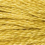 Embroidery Floss - 3820
