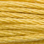 Embroidery Floss - 3821 Needlework DMC