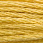 Embroidery Floss - 3821