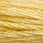Embroidery Floss - 3822