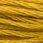 Embroidery Floss - 3852 Needlework DMC