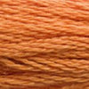 Embroidery Floss - 3853 Needlework DMC