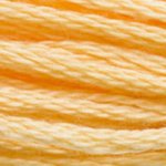 Embroidery Floss - 3855 Needlework DMC