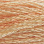Embroidery Floss - 3856 Needlework DMC