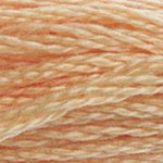 Embroidery Floss - 3856