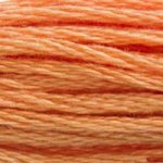 Embroidery Floss - 402 Needlework DMC