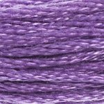 Embroidery Floss - 553