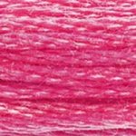 Embroidery Floss - 602