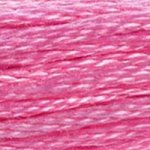 Embroidery Floss - 603